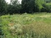 Terrain Vente à Saulnes - 71 000 € A SAULNES A VENDRE UN TERRAIN CONSTRUCTIBLE DE 4ARES 57 CENTIARES,
TERRAIN VIABILISE AVEC: GAZ-EAU-ELECTRICITE-TOUT A L'EGOUT
21M DE FACADE,
TERRAIN VENDU AVEC ETUDE DE SOL,