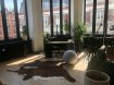 Appartement Vente 1 chambre à Roubaix - 199 000 € Roubaix JB Lebas, entre la grande place et la piscine , dans le quartier culture et artistes/créateurs,et secteur affaires -
Dans une petite copro sécurisée, Très bel appartement, dans une ancienne manufacture mercerie, baigné de lumière vous offrant un espace de vie chaleureux
, chambre,Salle de bain en duplex, dressing, cave et parking souterrain privé.
Chauffage urbain-Syndic bénévole .
Charges/an 80 euros
Metro-Commerces -culture
Exclusivité Barbara IMMOBILIER 0666924628