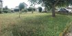 Maison Vente 2 chambres à Trieux - 98 000 € Maison mitoyenne - TRIEUX. A découvrir rapidement!
Sur la commune de TRIEUX à 5 minutes D'AUDUN-LE-ROMAN et proche de la frontière Luxembourgeoise, maison mitoyenne F3 d'environ 70 M2 avec jardin.
Elle vous offre au rez-de-chaussée une entrée, une cuisine semi-ouverte sur le séjour, un WC indépendant ainsi qu'un accès au sous-sol où se trouve une chaufferie et une buanderie.
A l'étage vous y trouverez 2 chambres lumineuses et une salle d'eau avec douche et meuble vasque.
Ce bien comporte quelques possibilités d'aménagement, les combles sont aménageables, une extension de la maison est possible ainsi que la construction d'un garage.
Idéal investisseur ou premier achat!
Pour plus d'informations, veuillez contacter Sophie au 06.59.77.48.67 ou au03.82.53.52.94ainsi que par mail àagence@ccimmobilier.com
Dans le cadre de votre recherche, n'hésitez pas à consulter notre site www.ccimmobilier.com afin de voir toutes nos offres.