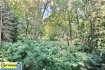 Appartement Vente 4 chambres à Metz - 445 000 € APPARTEMENT FAMILIAL D'EXCEPTION F7-4CH 190 M²
¤¤¤UNE EXCLUSIVITÉ CAPT’IMMO¤¤¤
IDÉALEMENT SITUE A LA VAQUINIERE ENTRE LE
JARDIN BOTANIQUE ET LE PARC DE COURCELLES
A 4 mn de l’autoroute A 31 Metz, Luxembourg, Nancy.
Accès Metz Centre
¤ A 400 m. arrêt TCRM ligne L1 EUROPA COURCELLES. Ligne directe place de la République, gare SNCF
passage toutes les 12 à 20 mn.
¤ A 300 m. du Canal de la Moselle
¤ A 1800 m. de la gare SNCF.
¤ A 1600 m. de la Place de la République.
¤ A 5 à 15 min des écoles et périscolaire.
¤ A proximité immédiate des services publics et commerces.
Découvrez cet appartement de réception et familial,
dans une résidence soignée de 4 appartements.
Un appartement par étage.
Au deuxième étage avec ascenseur.
Il bénéficie d’une situation idéale, secteur recherché,
dans un environnement calme.
Grands espaces verts, boisés et de loisirs.
Sans nuisances. Faible circulation routière.
Vous jouirez d’une vue panoramique sur les côtes de Moselle.
Le tout rayonnant comme un petit bout de campagne à 10 mn
du cœur de ville. Grands espaces verts, boisés et de loisirs.
Idéalement exposé, traversant, très lumineux.
L'accès de la résidence offre une bonne sécurisation.
Le bien idéal, de par sa fonctionnalité, sa situation,
il comblera toutes les familles en recherche d’un cadre
de vie rare.
Ici plus qu’ailleurs, le mot patrimonial n’est pas un vain mot.
Vous aurez plaisir à recevoir dans ce bien convivial votre
famille, vos amis.
¤ TRIPLE ESPACE DE RÉCEPTION SUR 70 M²,
SALON, SÉJOUR, SALLE A MANGER EN ENFILADE.
¤ CUISINE ÉQUIPÉE INDÉPENDANTE AVEC OFFICE, BUANDERIE, ATTENANT.
¤ 4 CHAMBRES
¤ 1 SALLE DE BAIN AVEC BAIGNOIRE ET DOUCHE.
¤ 1 SALLE DE DOUCHE.
¤ 2 WC INDÉPENDANTS.
¤ 1 GARAGE INDÉPENDANT AVEC PORTE MOTORISÉE.
¤ 1 CAVE ET UNE PLACE DE PARKING
COTE JOUR :
Dès l’entrée de l’appartement, vous accédez à l’espace
d’accueil réception, donnant directement sur les pièces de réceptions salon séjour, salle à manger en enfilade sur 70 m².
Les pièces de réceptions jouissent d’un ensoleillement maximal,
grâce aux volumes des fenêtres et des portes-fenêtres ouvrant de plein pied sur les balcons terrasses 35 m², parfaite orientation,
avec en prolongement vue directe sur l’environnement paysager, avec sa végétation luxuriante, de multiples plantations, arbres et massifs.
Vous disposerez d’une cuisine indépendante avec une pièce office buanderie le tout sur 23 m².
2 WC indépendants complètes la partie jour.
COTE NUIT :
Quatre Chambres de 14 à 20 m² avec accès aux balcons terrasses.
Une salle de bain avec baignoire et douche et une salle d’eau avec douche complètent la partie nuit.
Coté fonctionnel vous disposerez de nombreux espace de
rangement et de multiples placards.
Un garage privé indépendant, une place de stationnement.
Une cave.
Chauffage central, volet électriques, ascenseur, alarme.
Un bien atypique de qualité, rare, idéalement situé à
découvrir sans attendre !
Vous vous épanouirez dans ce bien en toute quiétude
et sécurité !
Syndic professionnel.
Surface carrez 190 m²..
Visites 7 jours sur 7 sur RDV.
Renseignement au 06.30.55.11.48
Capt’Immo 3,5%
Votre solution Immobilière !
Moins d’honoraires !
Conseils et services en plus !
ESTIMATIONS EXPERTES GRATUITES EN 48H !
Si vous avez un bien à vendre, l’équipe Capt’Immo 3,5%
est à votre entière disposition pour vous conseiller,
pour réaliser une estimation experte en 48H,
et mettre tout son savoir-faire en vue d’une commercialisation professionnelle, rapide de votre propriété, appartement, locaux commerciaux.
AVEC DES HONORAIRES ET SERVICES HYPER-COMPÉTITIFS.
Pour tout renseignement supplémentaire et demande,
veuillez nous contacter au 03 87 167 167
ou par E-mail : mark-com@live.fr