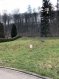 Terrain constructible Vente à Larochette - 399 000 € *** SANS CONTRAT DE CONSTRUCTION***
Beau terrain à construire (lot 02) d'une surface de 6.27 ares pour maison jumelée (par garage).
Disponible de suite.
Ref agence :1140