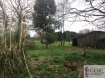 Terrain constructible Vente à Derval - 76 500 € Terrain avec dépendances. Proche du bourg de Derval, nous vous proposons ce superbe terrain constructible de 1165 m² . Le terrain possède une maison à rénover d'environ 60 m². Viabilisé au niveau de l'eau et de l'électricité et il ne restera que le tabouret du tout à l'égout à raccorder.Contact :Mathilde Guinel02.40.55.39.68 dont 6.25 % honoraires TTC à la charge de l'acquéreur.